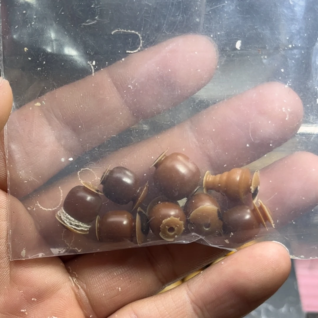 菩提根/象牙果手串