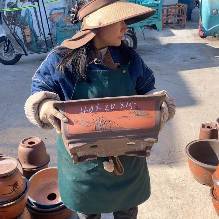 紫砂花盆盆栽花卉苗木种植