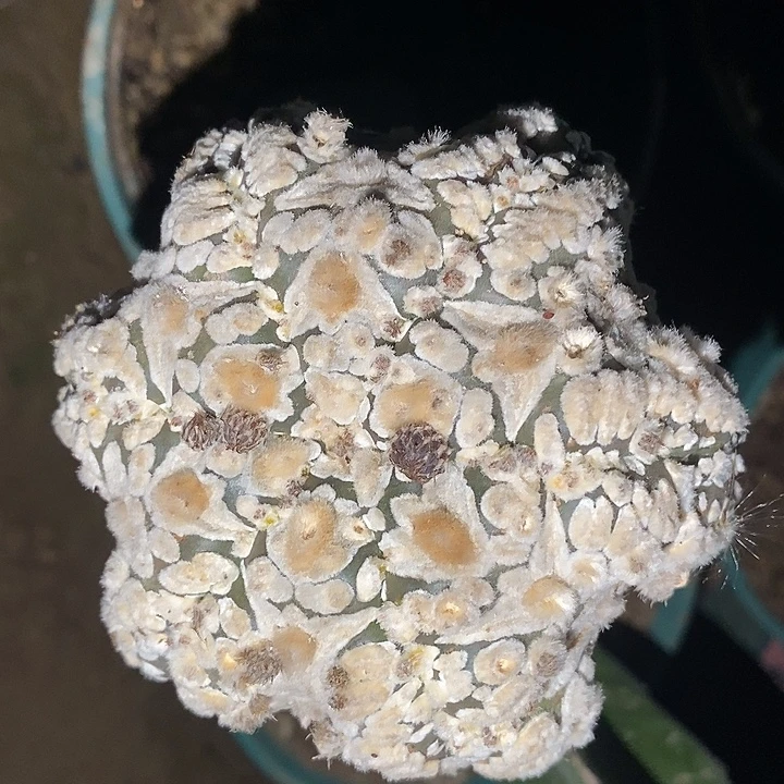蕾***靴哈哈哈哈哈哈哈哈哈
