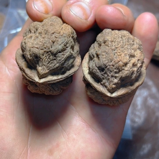 把件文玩核桃12号金刚佛手