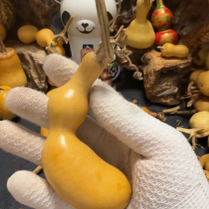 H****6666666666777777