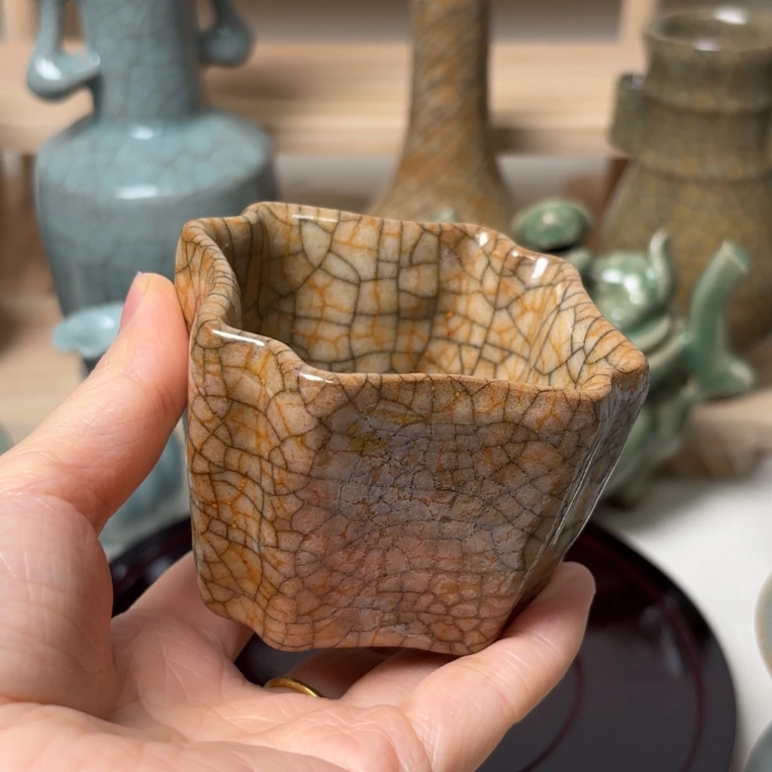 窝口杯11111111111111