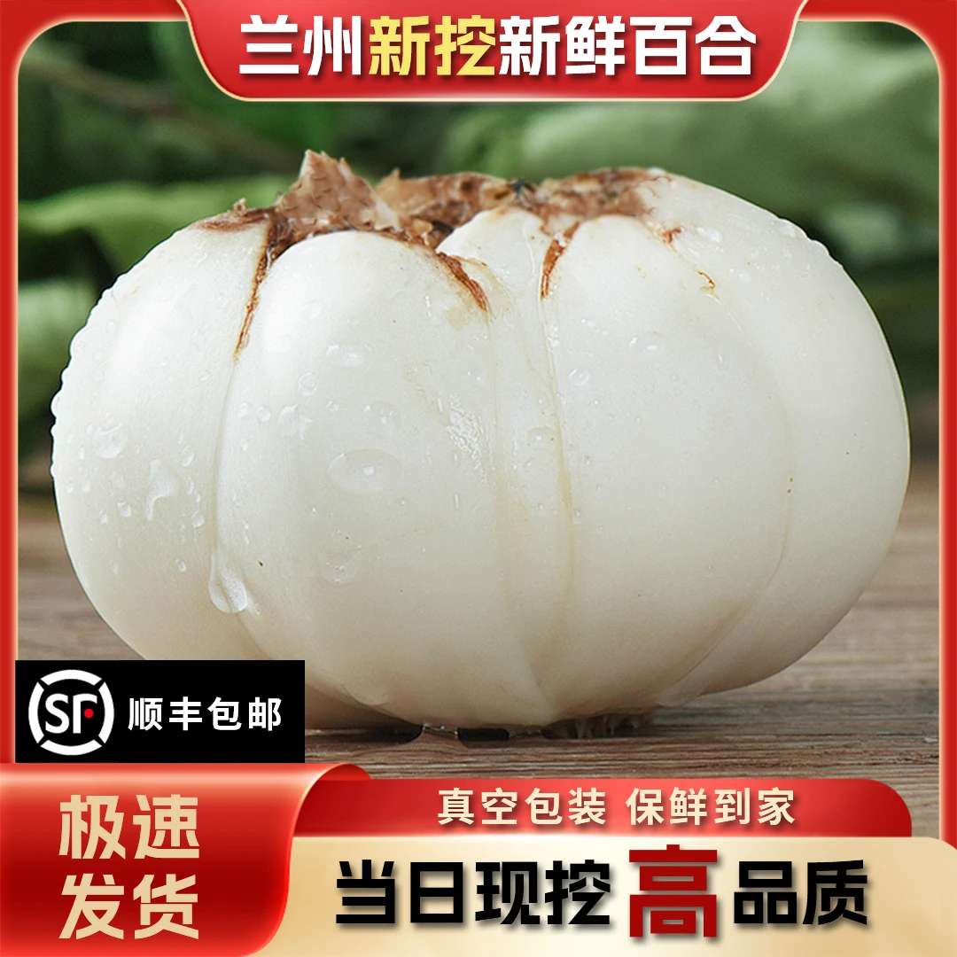 【小果囤货装】兰州甜百合9年生软糯香甜