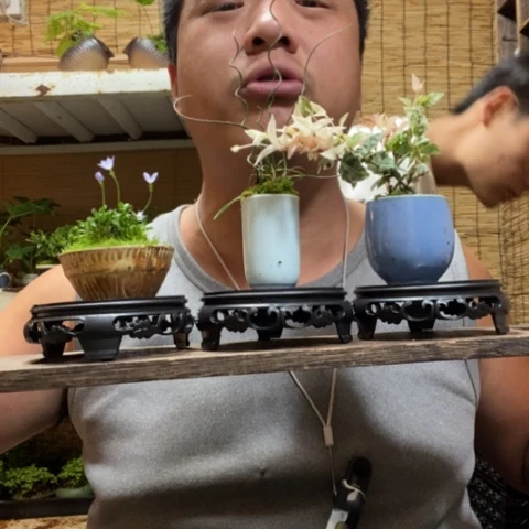 红陶一物一拍所见即所得90