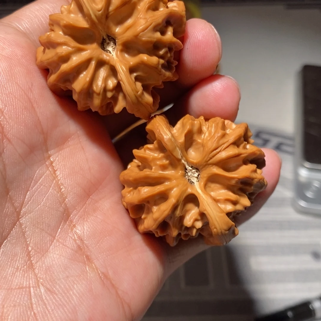 把件文玩核桃038大龙凹底39+尺微修