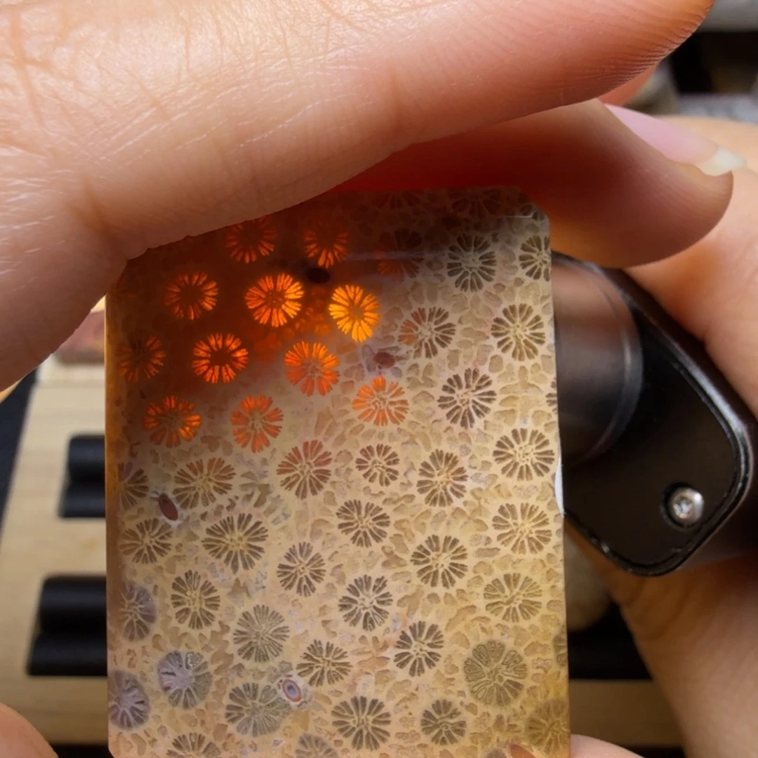 硅化玉未镶嵌美花花