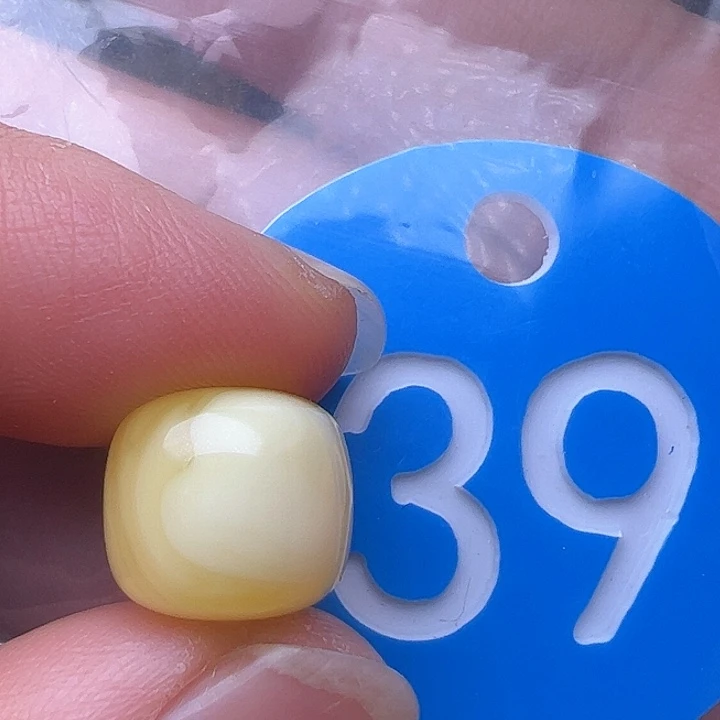 蜜蜡裸石未镶嵌11.3m m