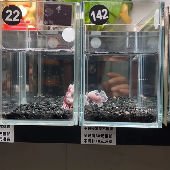 斗鱼满30包邮10日22+142