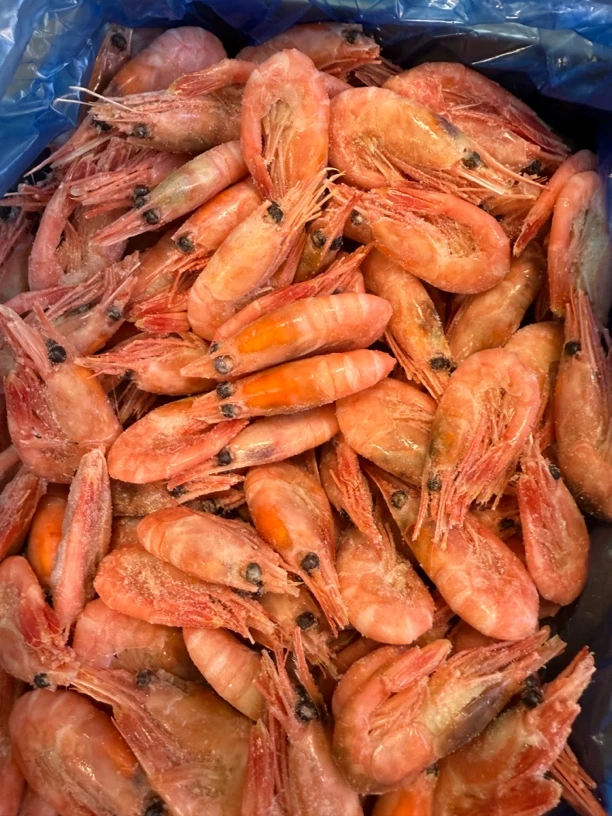 北极甜虾80-100头籽3斤