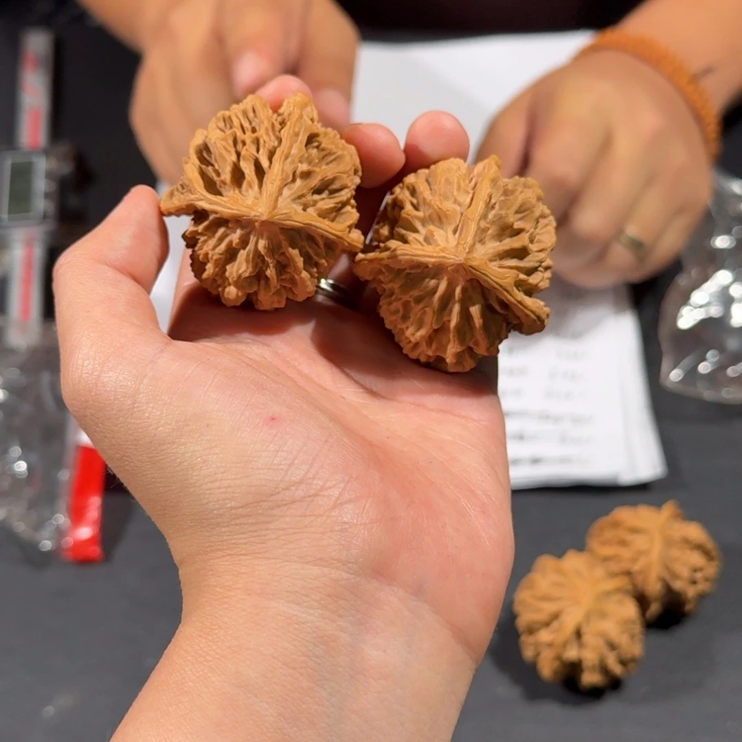 文玩核桃把件三棱6号帝王三棱