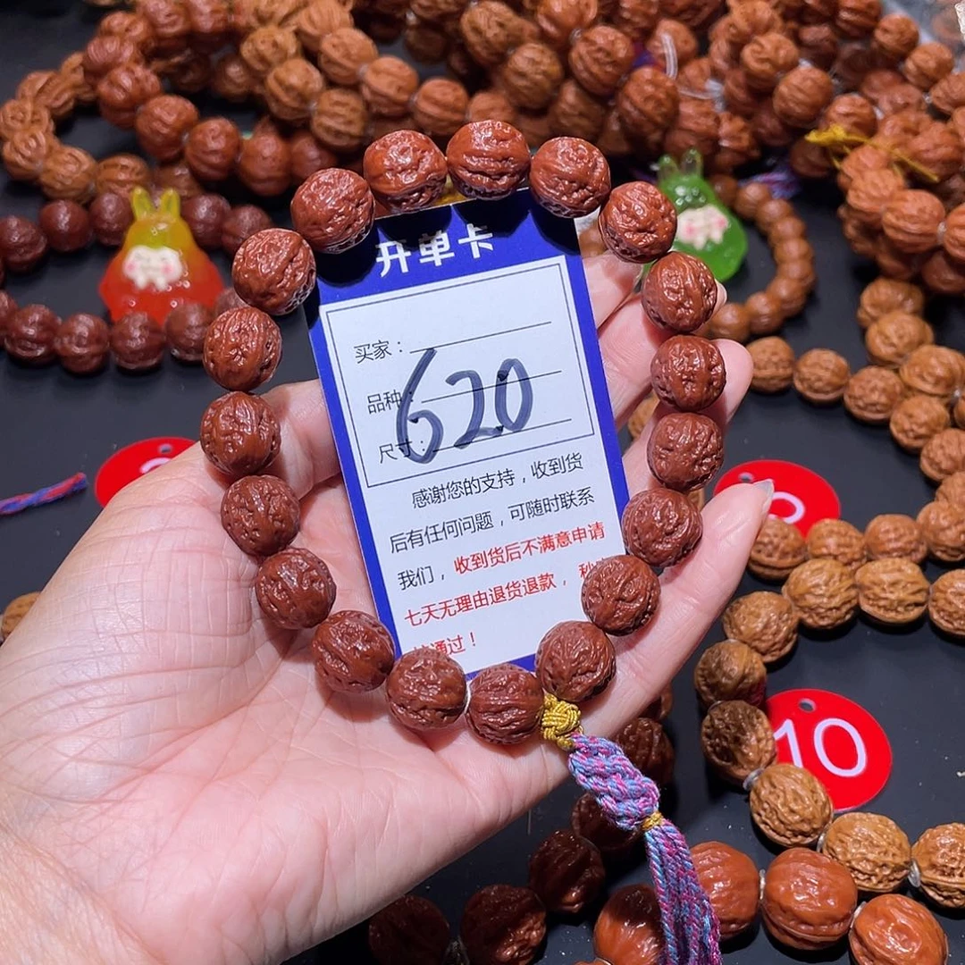 620秋子红皮粗筋爆肉京八棱14