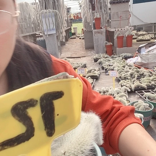 72两口吐沫土土语