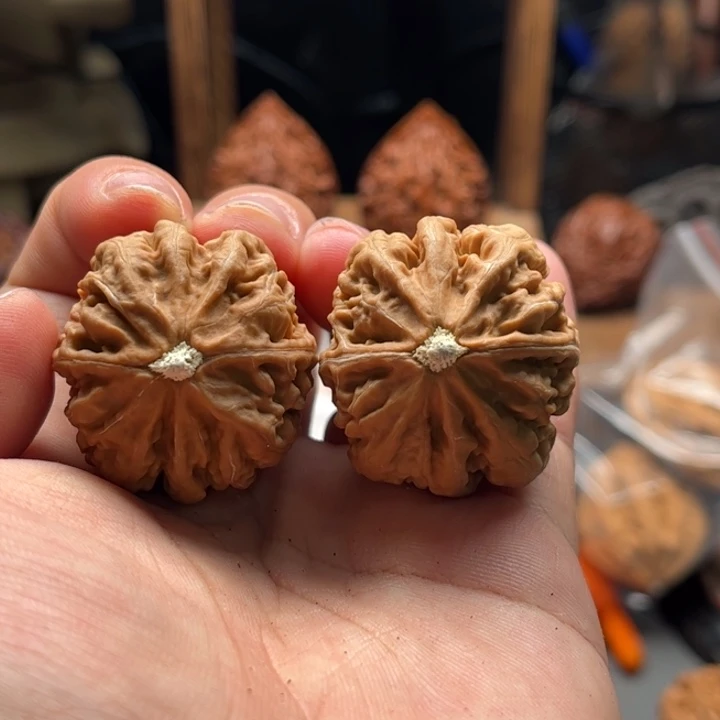 把件文玩核桃楸大胖93