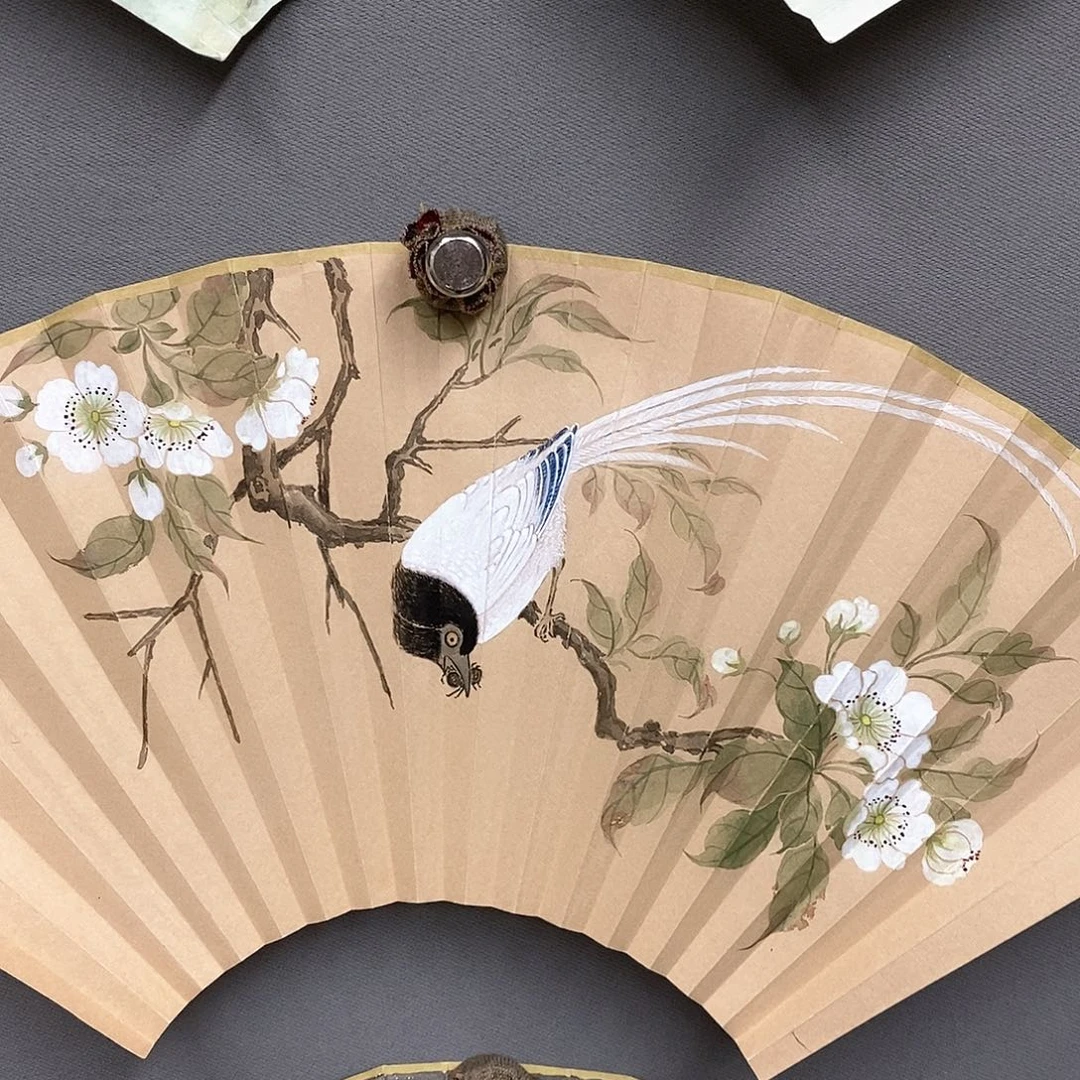 玉竹…玉竹..玉竹..玉竹..玉竹