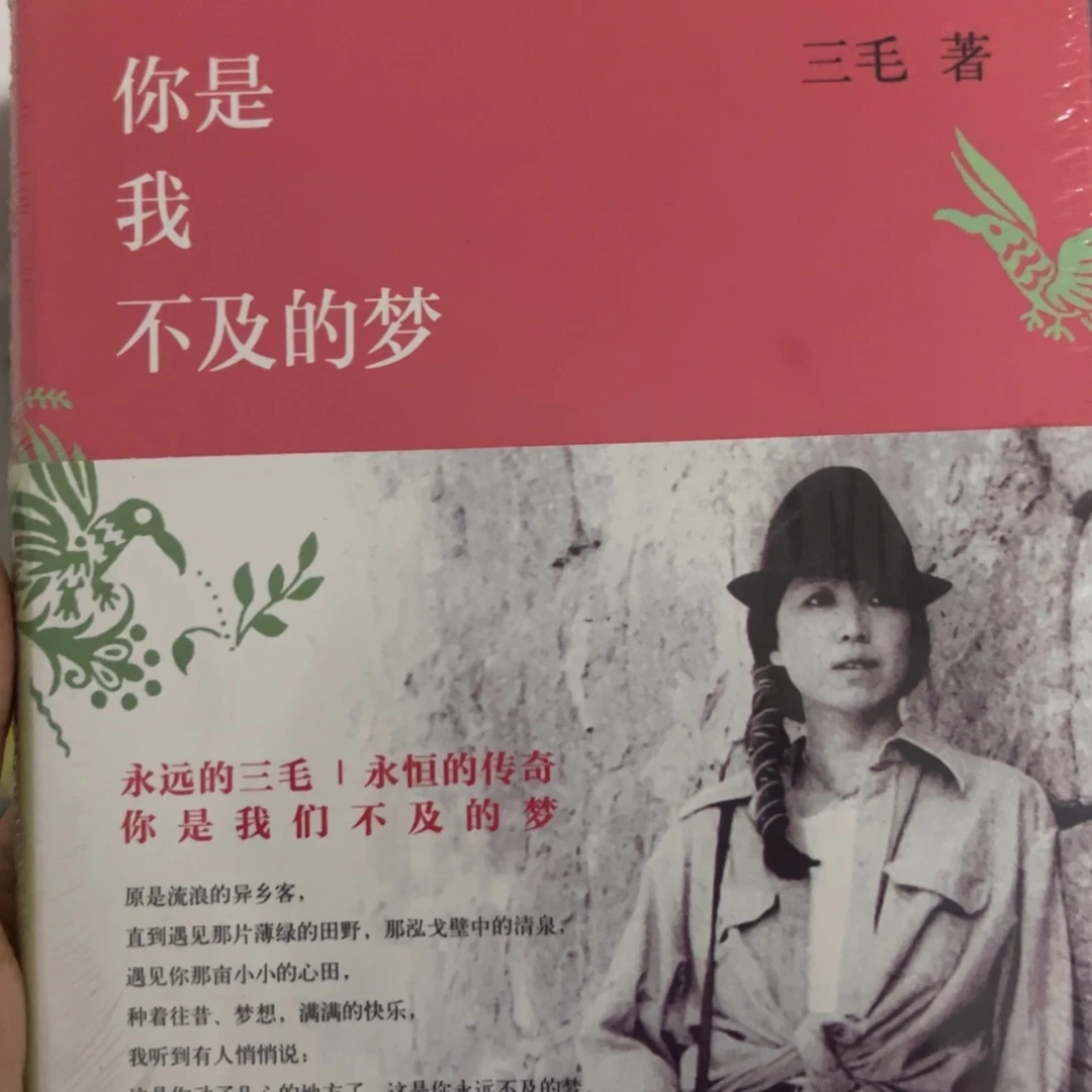 你是我不及的梦五米一个