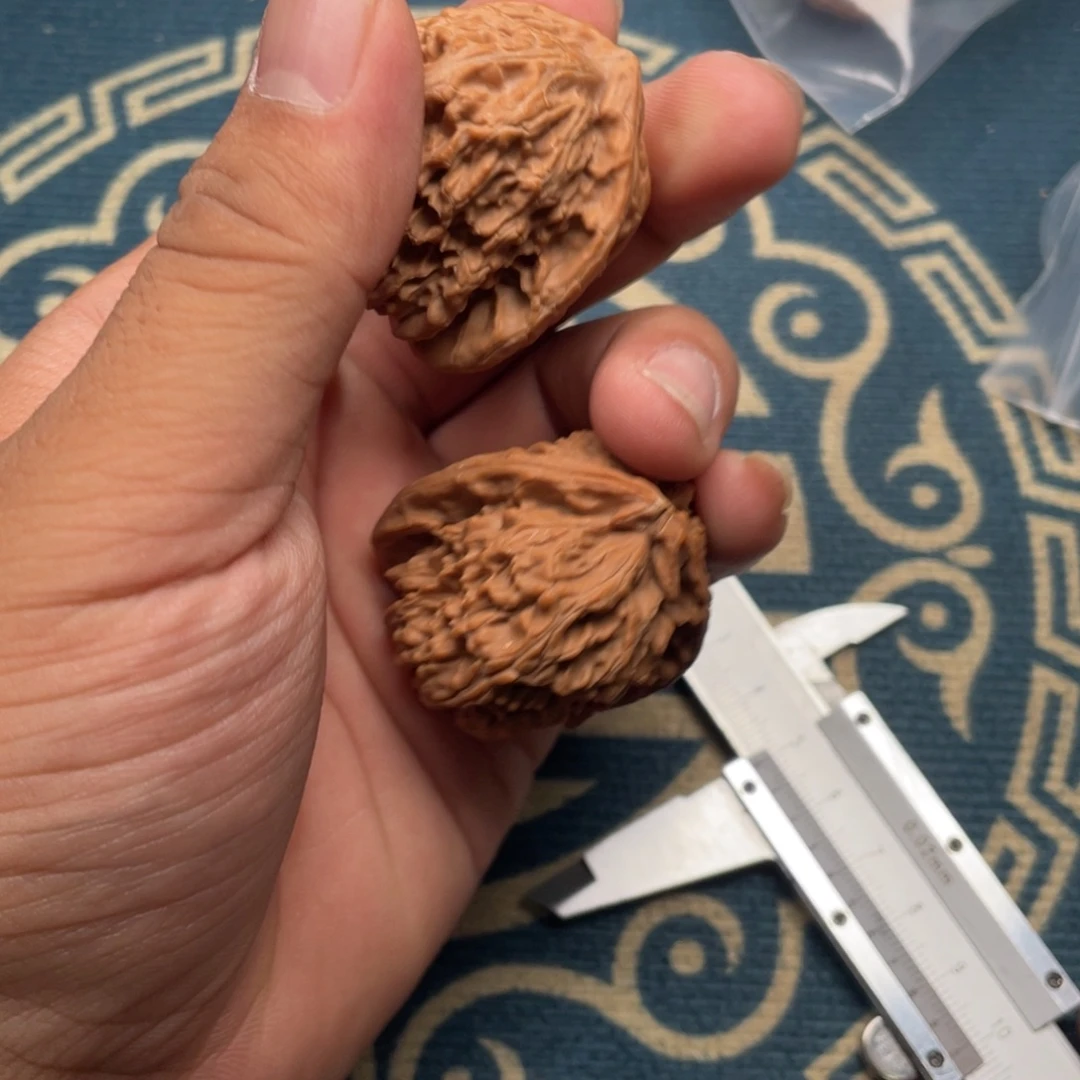 好***号全品无修白狮子40尺