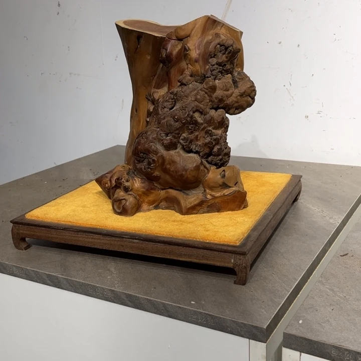 虎***.柏木崖柏等自然资源和生态资源丰富