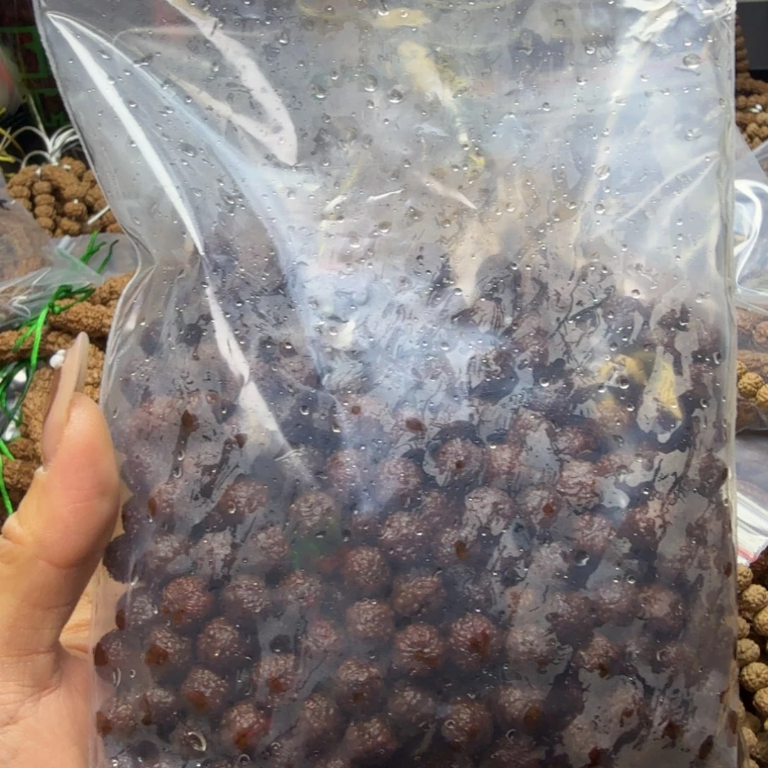 挚***卿吊坠金刚菩提龙鳞散子500颗