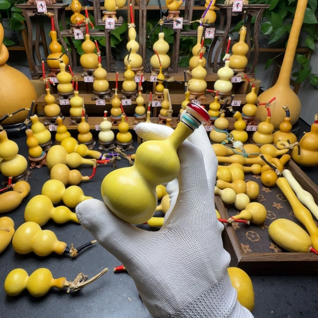 树***林vc反反复复的的大多数是啊