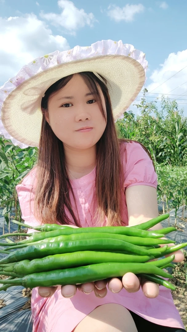 新鲜青辣椒贵州二荆条青线椒中辣农家当季蔬菜剁椒辣椒酱香辣当季