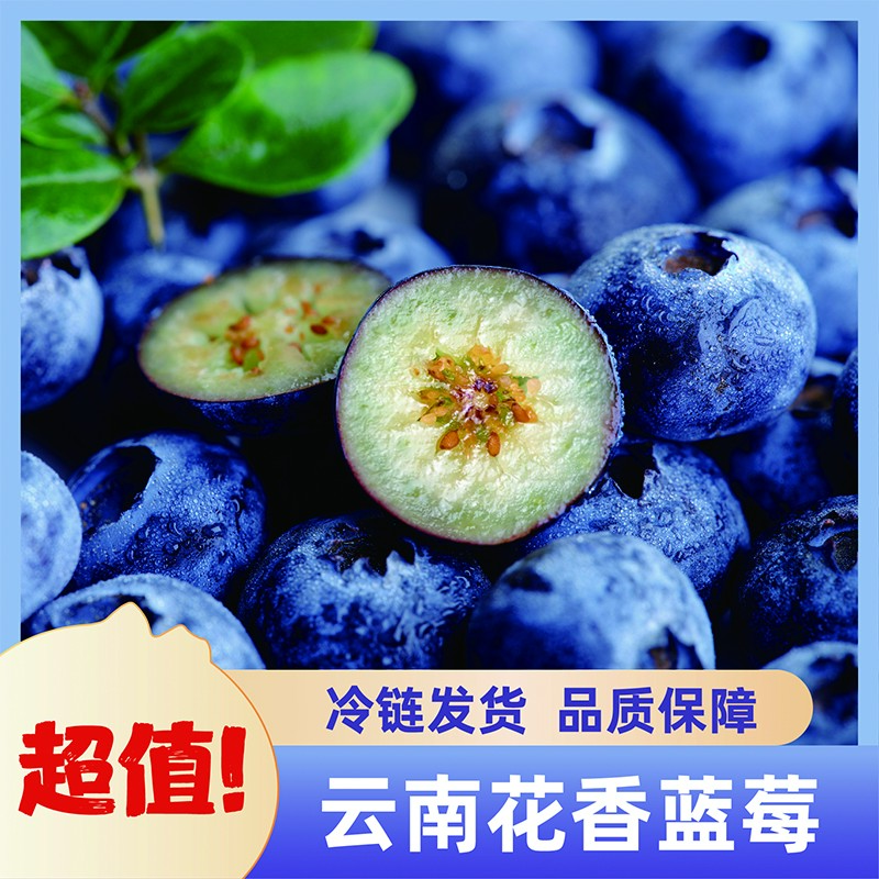 DS云南花香蓝莓当季新鲜采摘孕妇水果顺丰空运包邮