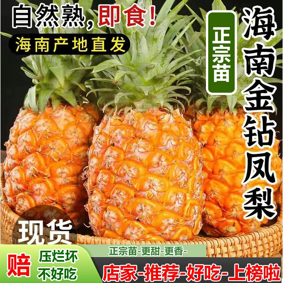 正宗海南金钻凤梨新鲜现摘香甜多汁应季孕妇水果产地直发手撕菠萝