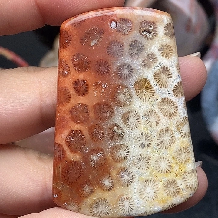 硅化玉未镶嵌颈饰