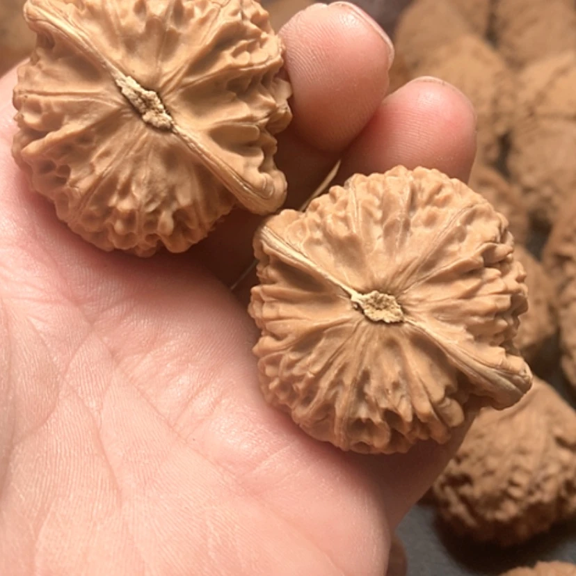 【闪购商品】小*宫灯