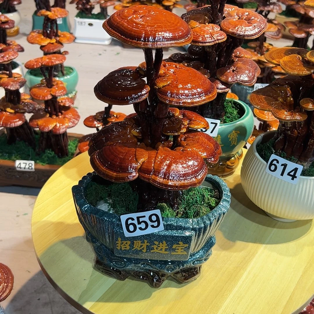 安***娜无花朵8888888888