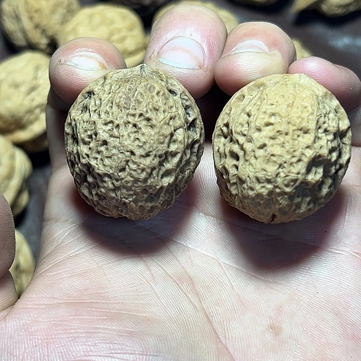 文玩核桃把件20号小罗汉37尺