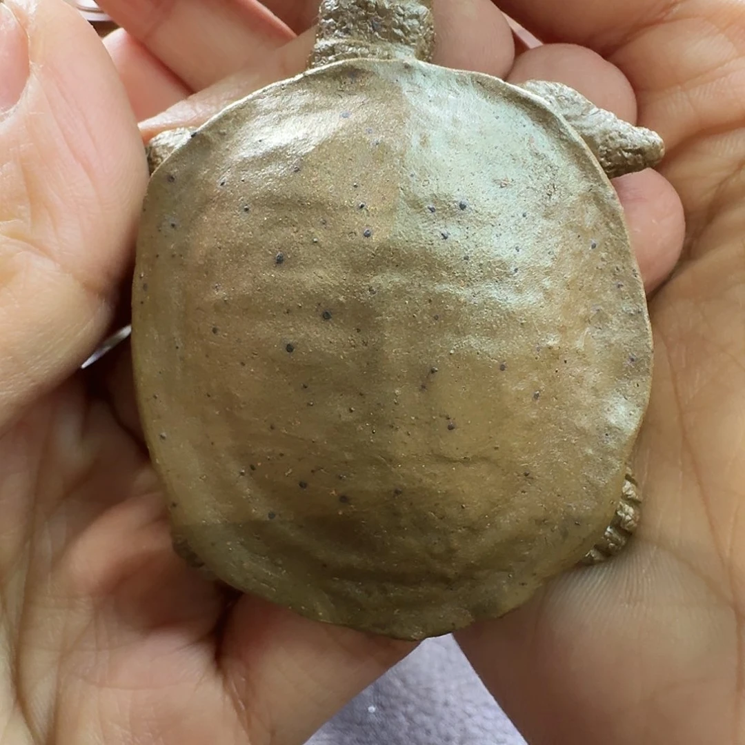 紫砂茶宠甲鱼甲鱼