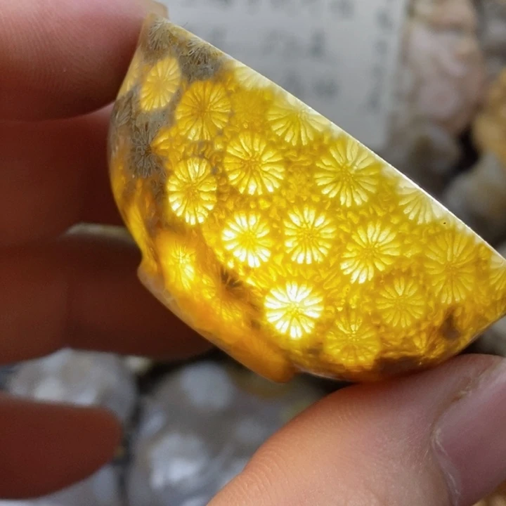 颈饰未镶嵌硅化珊瑚（珊瑚玉）有瑕