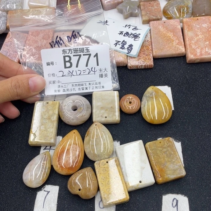 硅化珊瑚（珊瑚玉）颈饰合金呱**唧
