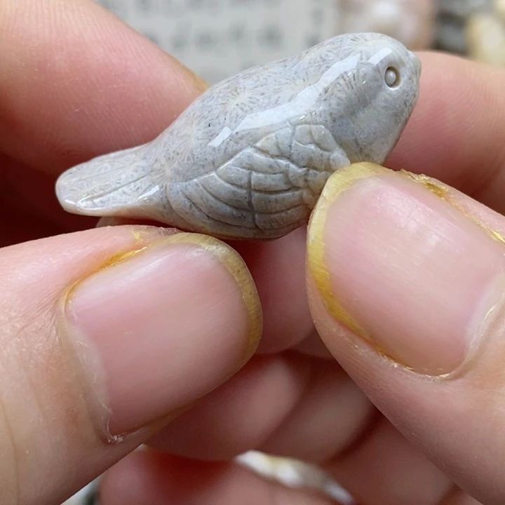 颈饰未镶嵌硅化珊瑚（珊瑚玉）小