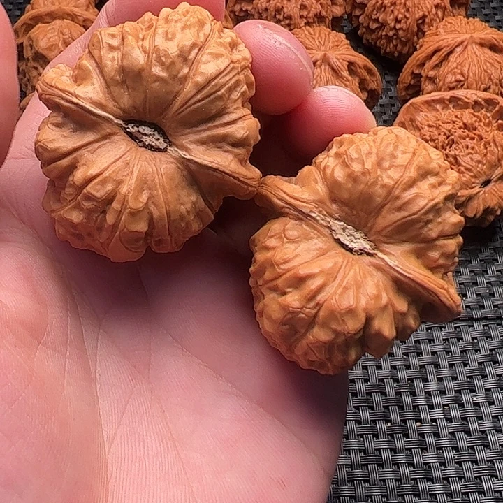 文玩核桃把件南瓜墩44