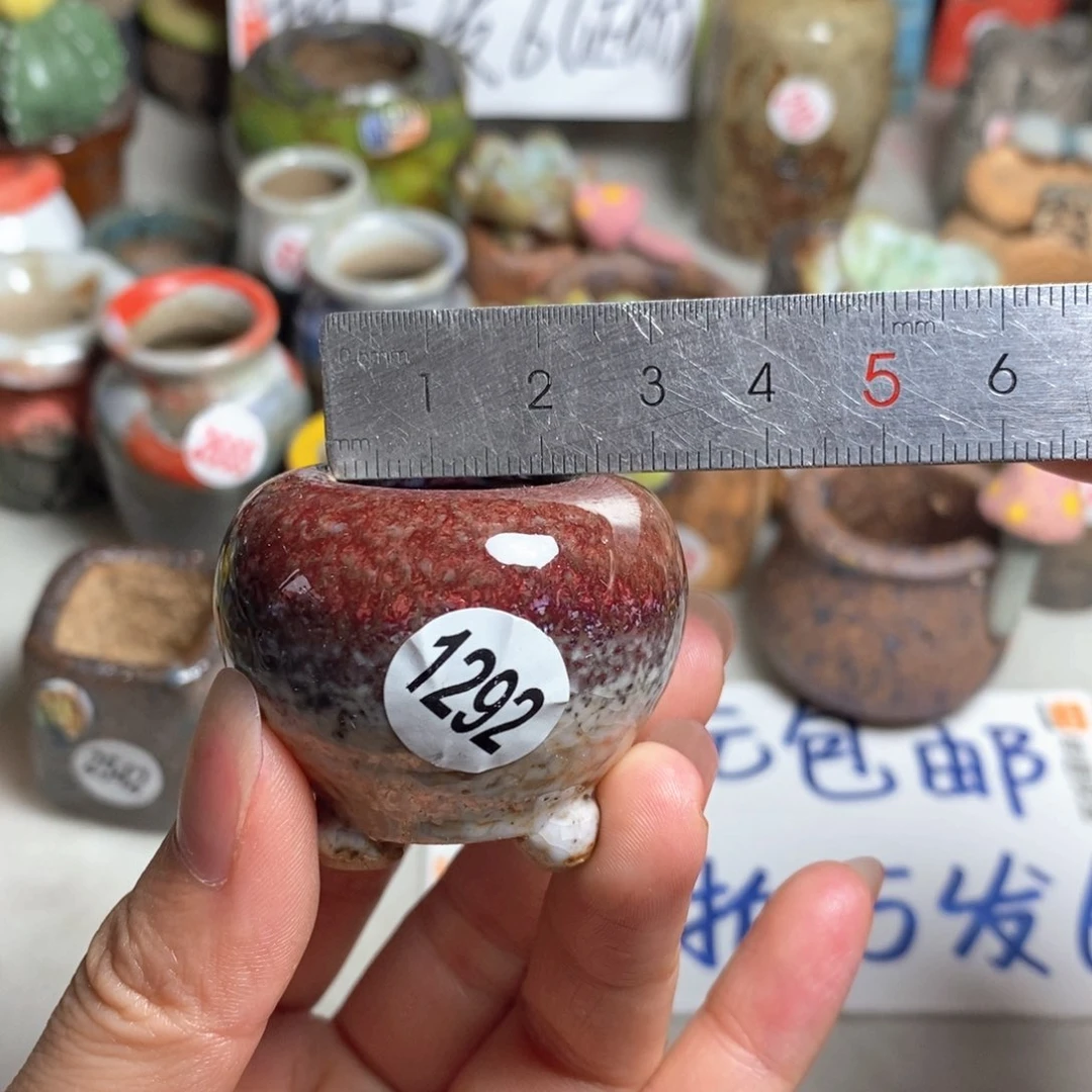 拍5送一个小礼物