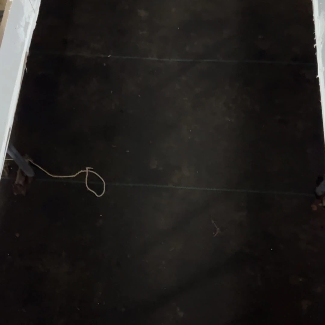 l***n多肉植物 一物一拍