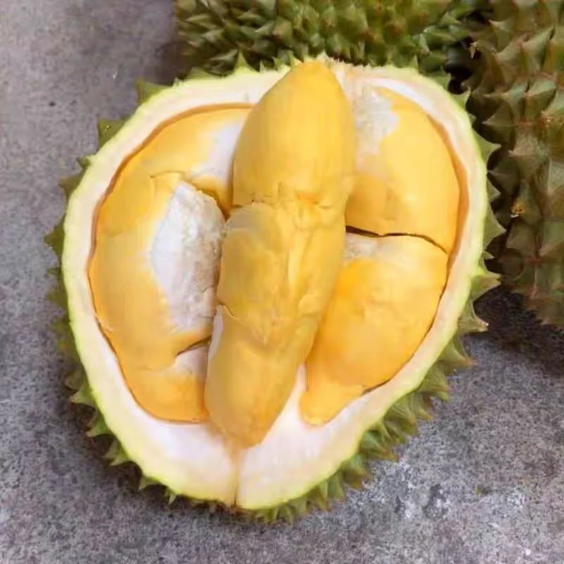 （直播浮力）金枕泰国新鲜榴莲好吃纯甜水果 顺丰包邮