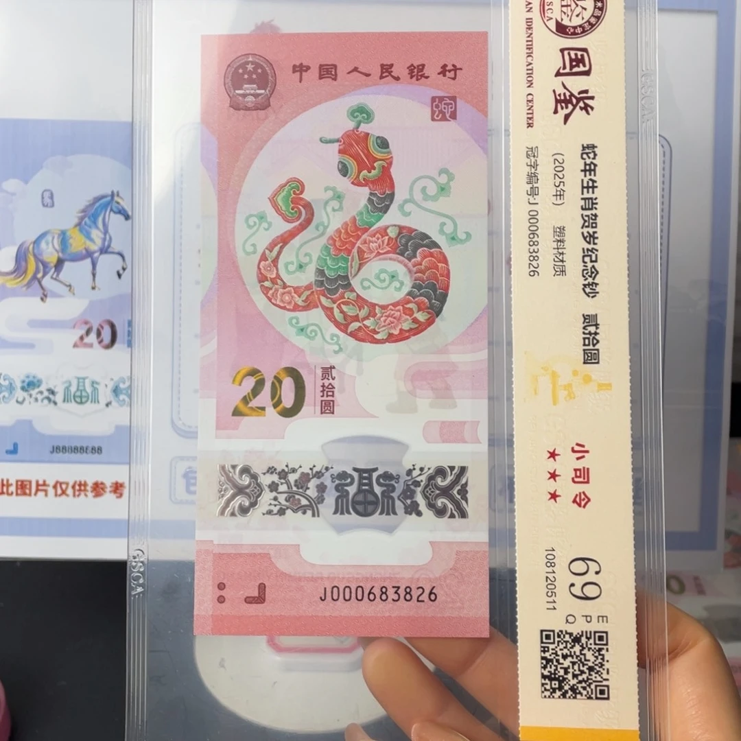塑料蛇钞小司令69分无47尾6