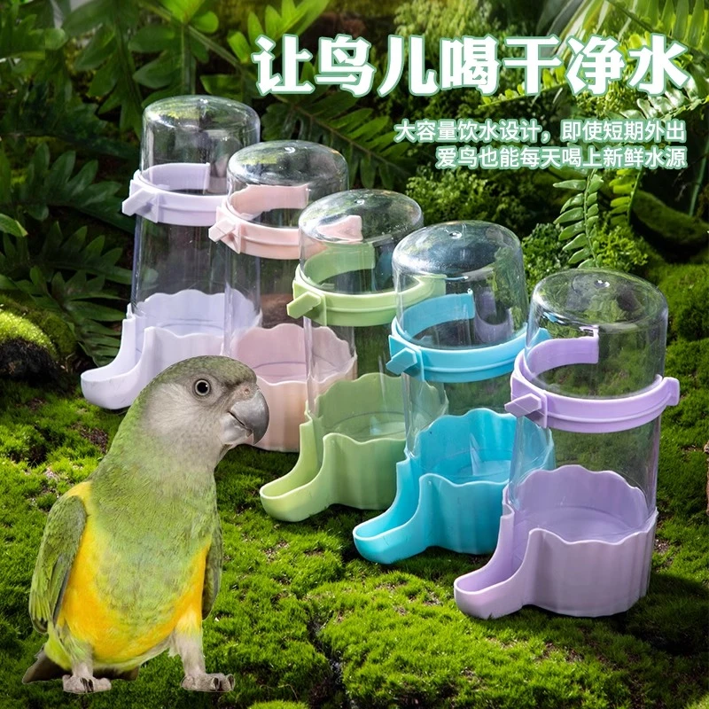 新款鸟用自动饮水器大容量自动喂水饮食器大型小号虎皮玄凤喂食器