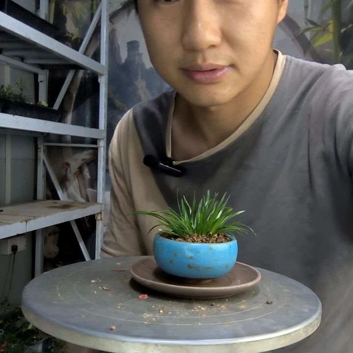 吃****饭中青园艺一物一拍252