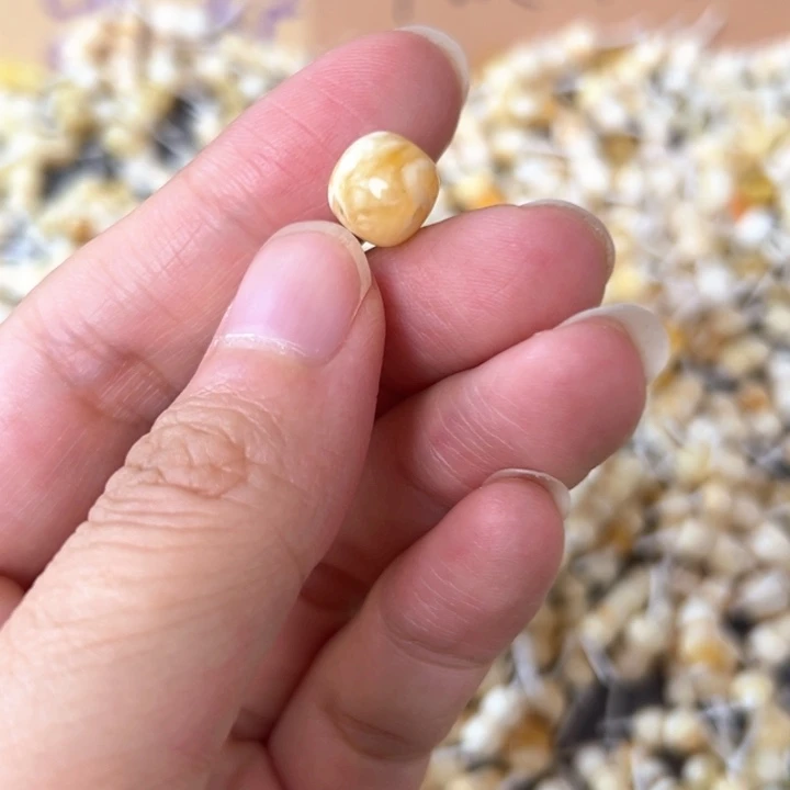 裸石蜜蜡未镶嵌9.1mm一个