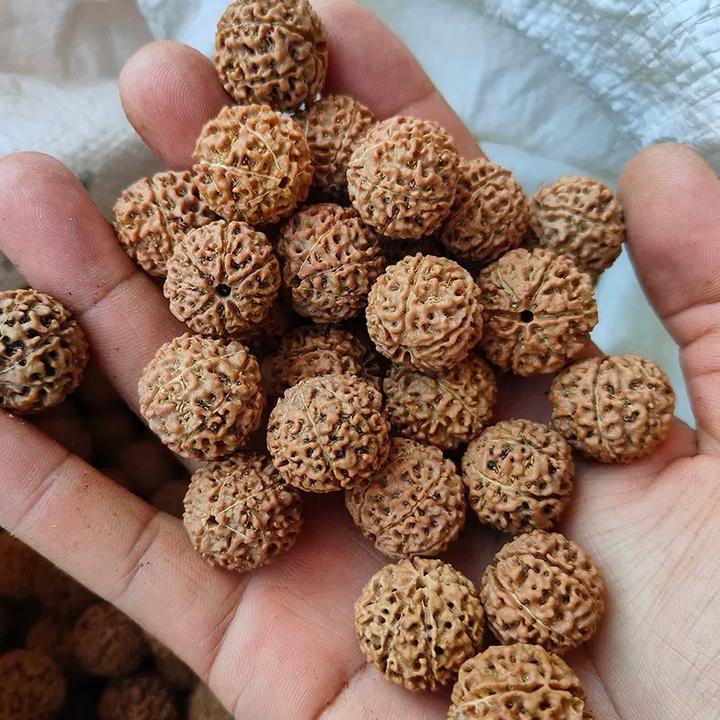 菩提散子瑕疵一物一拍