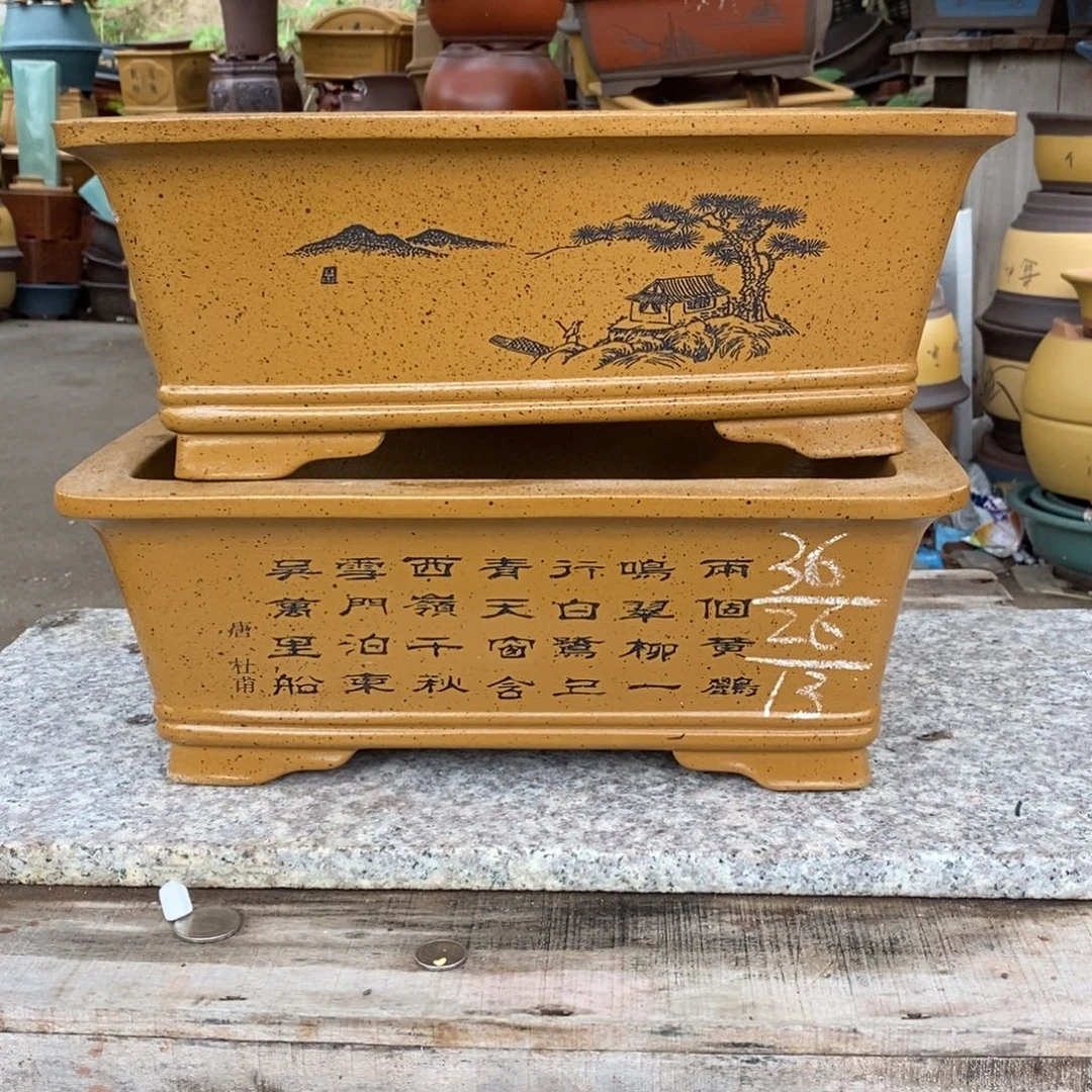 你的生活是我的人生