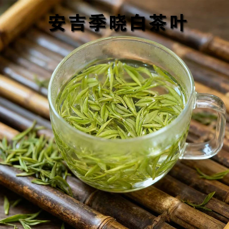 季晓白 (2025年新茶)T08明前鲜爽兰花香高山安吉白茶