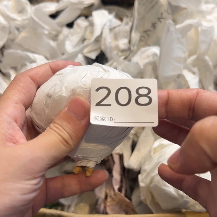 德***杀兜星球仙人球208号球