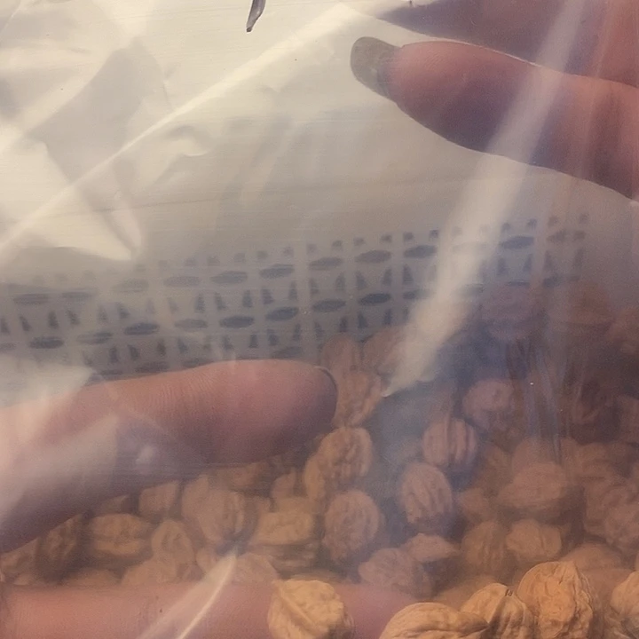 格***局吊坠桃核13尺寸嵩山蛤蟆