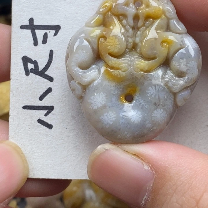 硅化珊瑚（珊瑚玉）未镶嵌颈饰