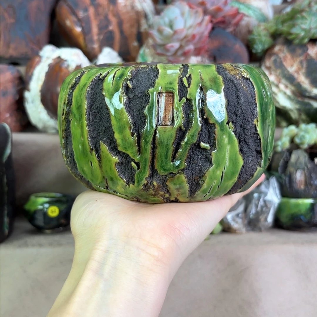 藤鼠苔藓绿矮圆口8