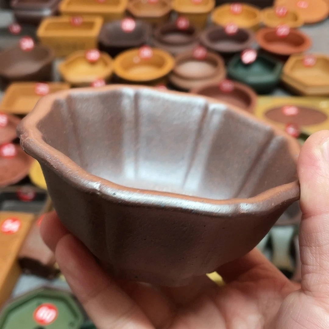 紫砂小盆10*4.5cmmmm